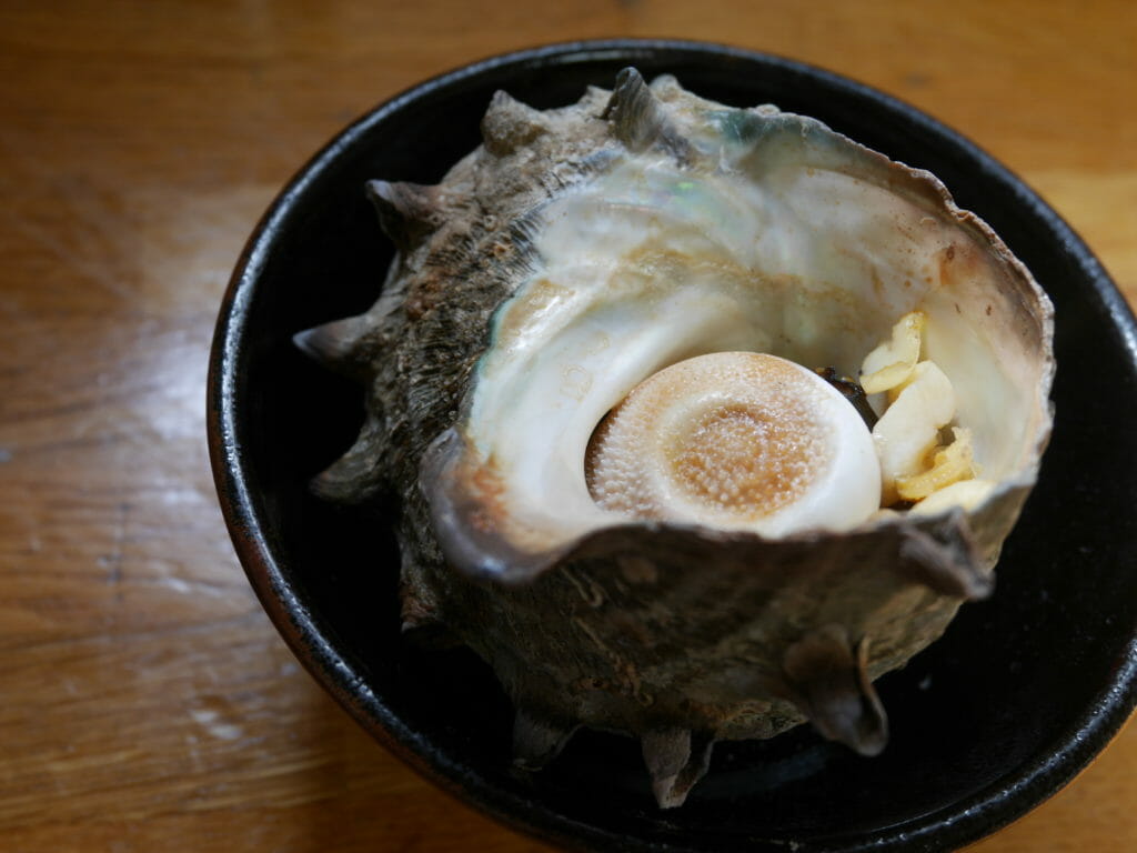 さざえ